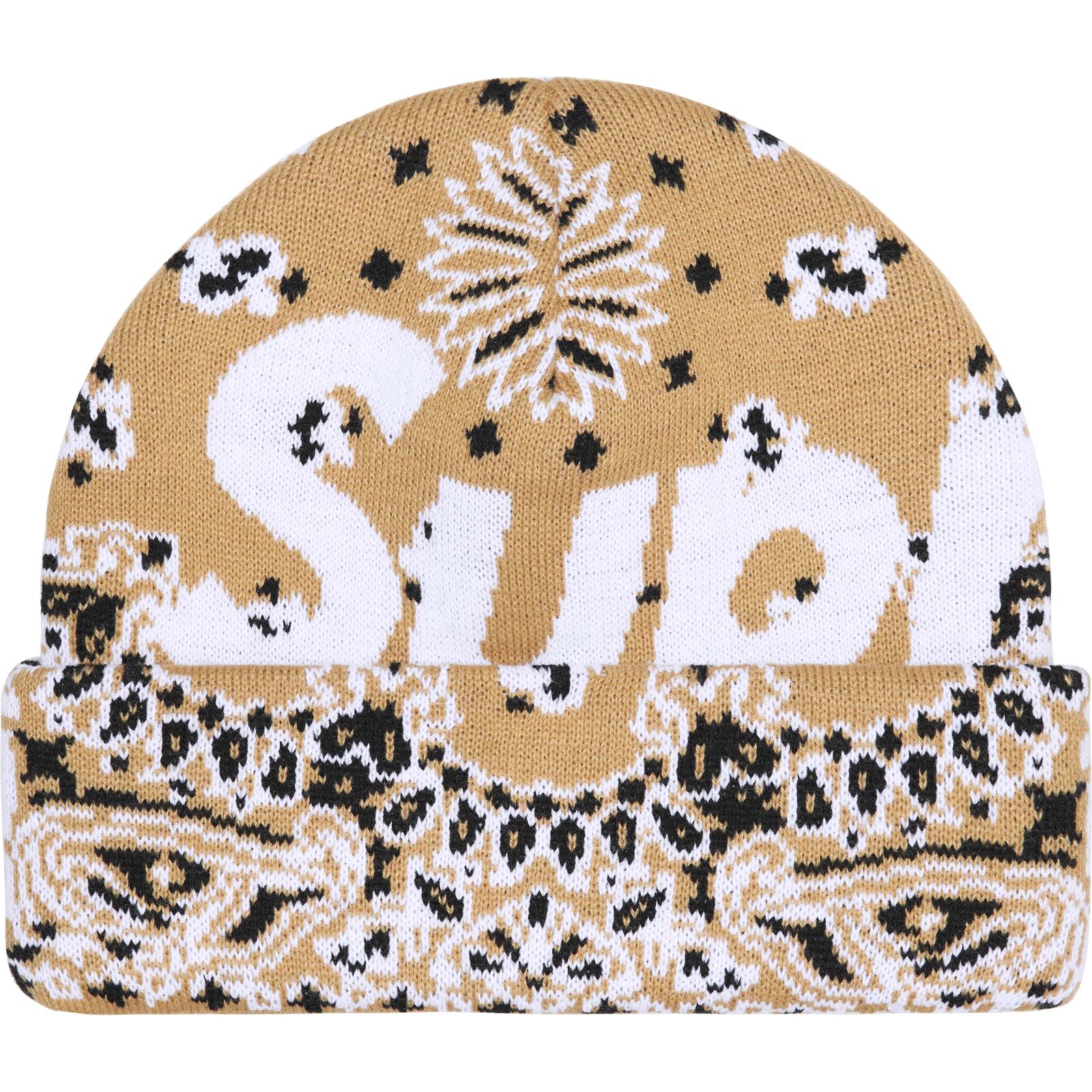 Big Logo Beanie