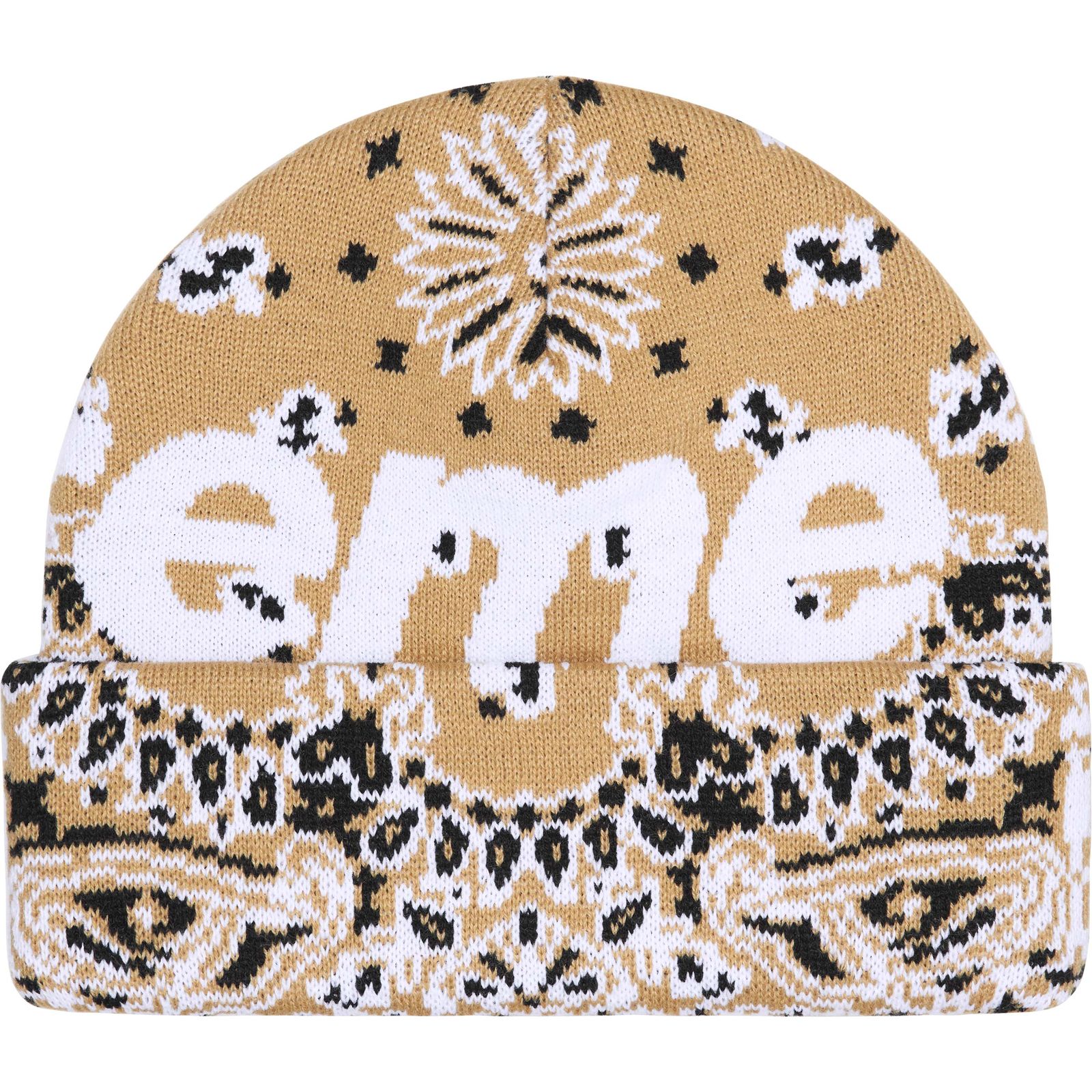 Big Logo Beanie