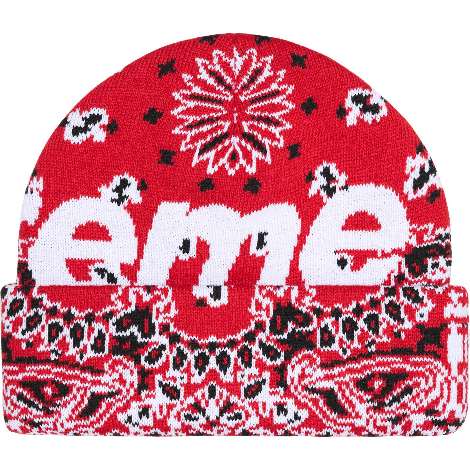 Big Logo Beanie