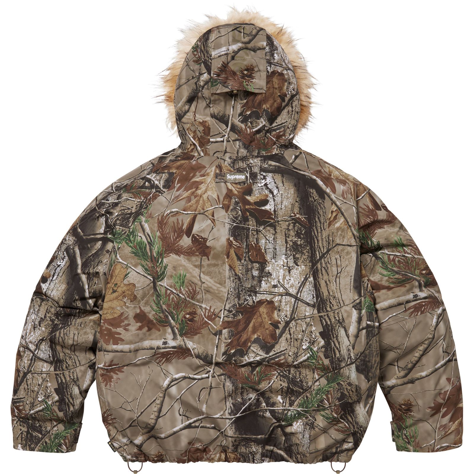 2-in-1 GORE-TEX Parka + Reversible 700-Fill Down Liner Jacket