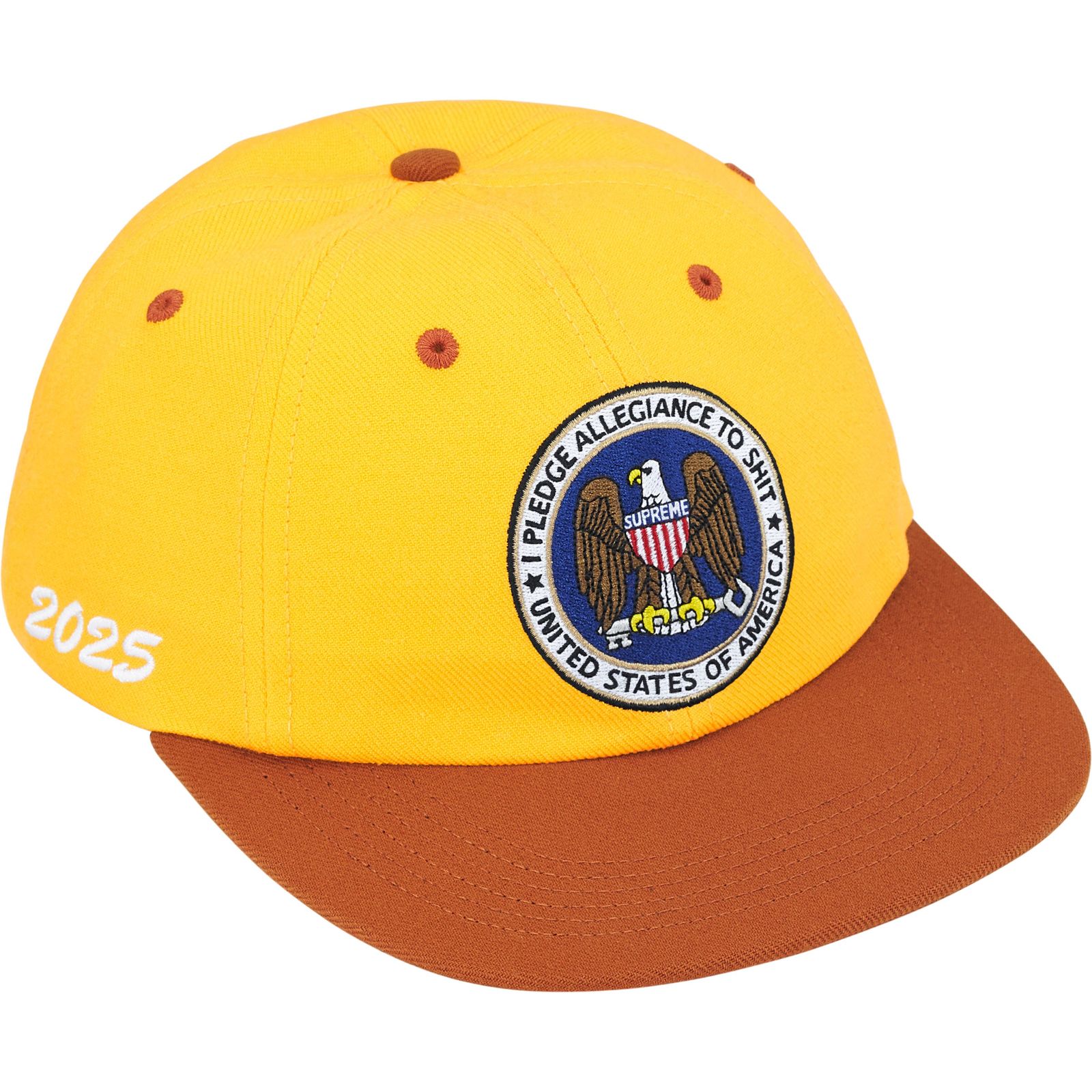 Pledge Allegiance 6-Panel