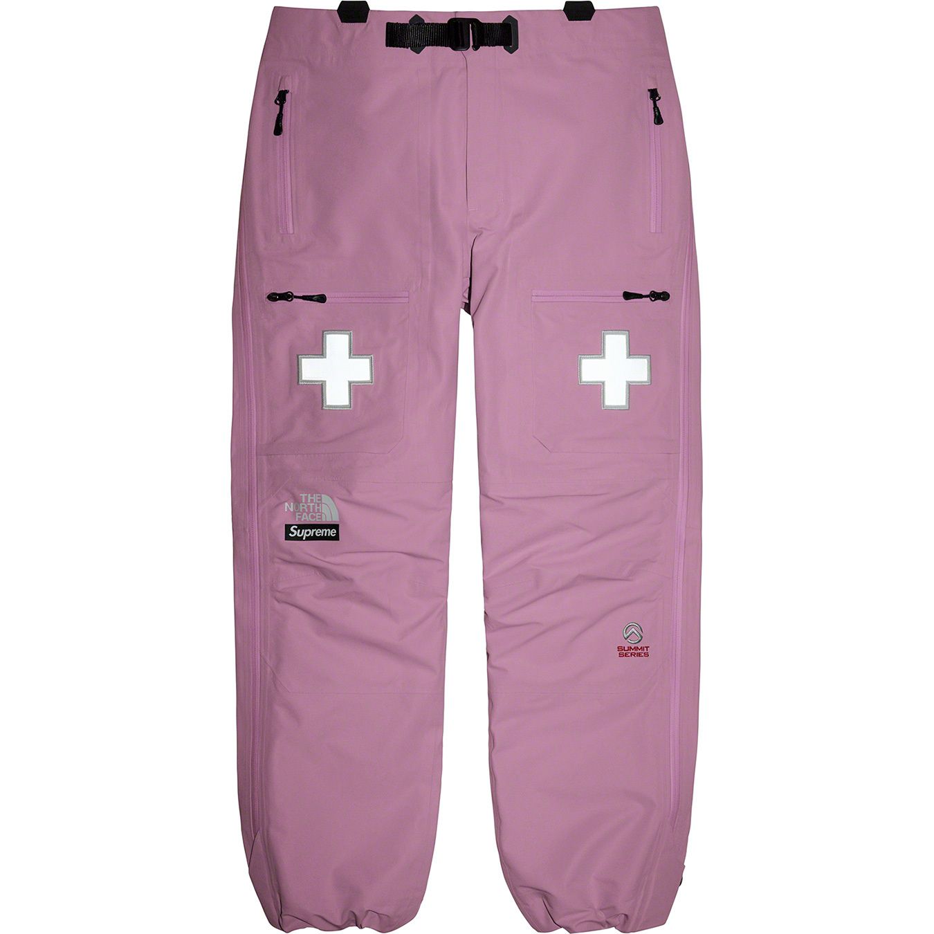 Supreme®/The North Face® Summit Series Rescue Mountain Pant