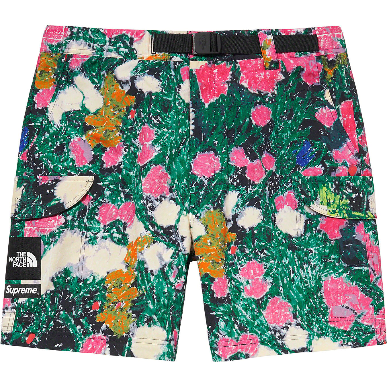 Supreme®/The North Face® Trekking Zip-Off Belted Pant