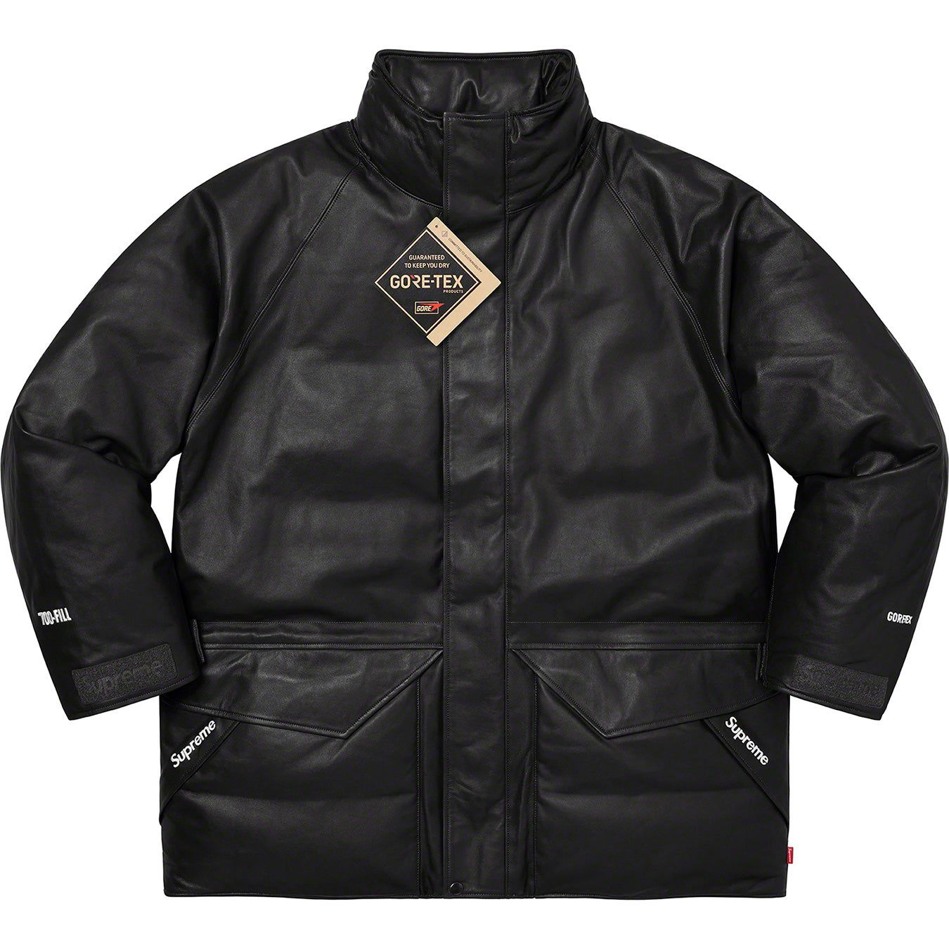 GORE-TEX Leather 700-Fill Down Parka