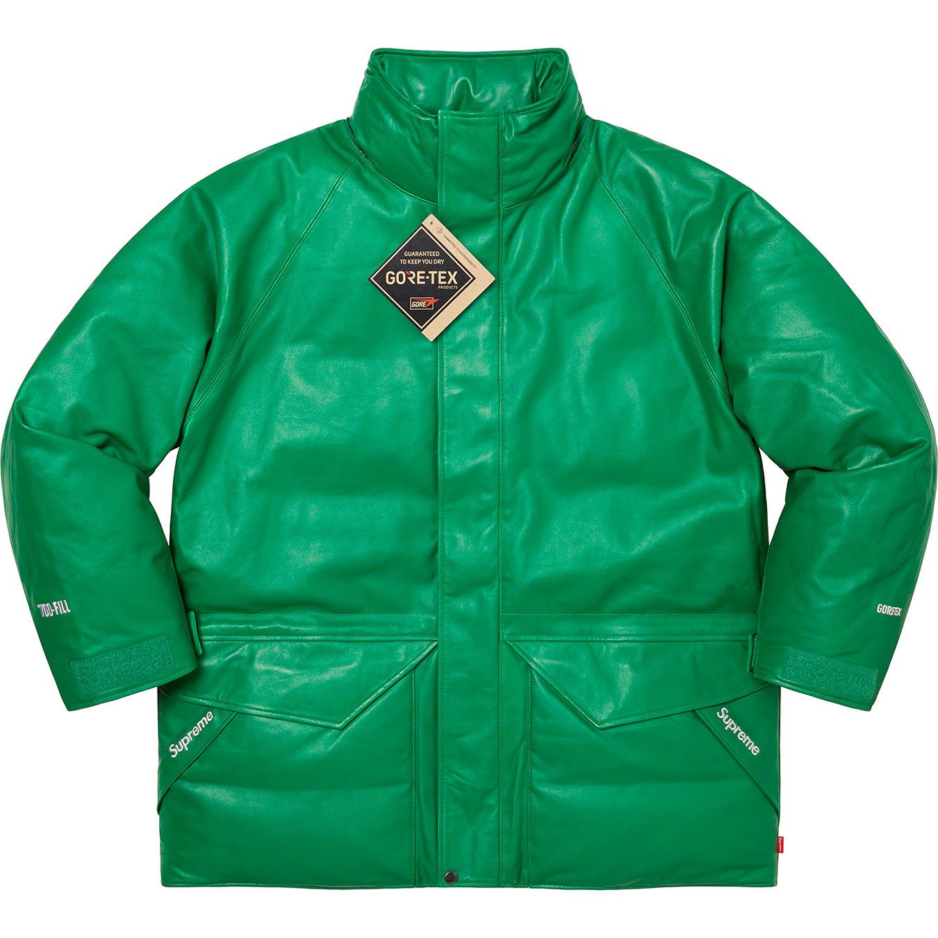 GORE-TEX Leather 700-Fill Down Parka