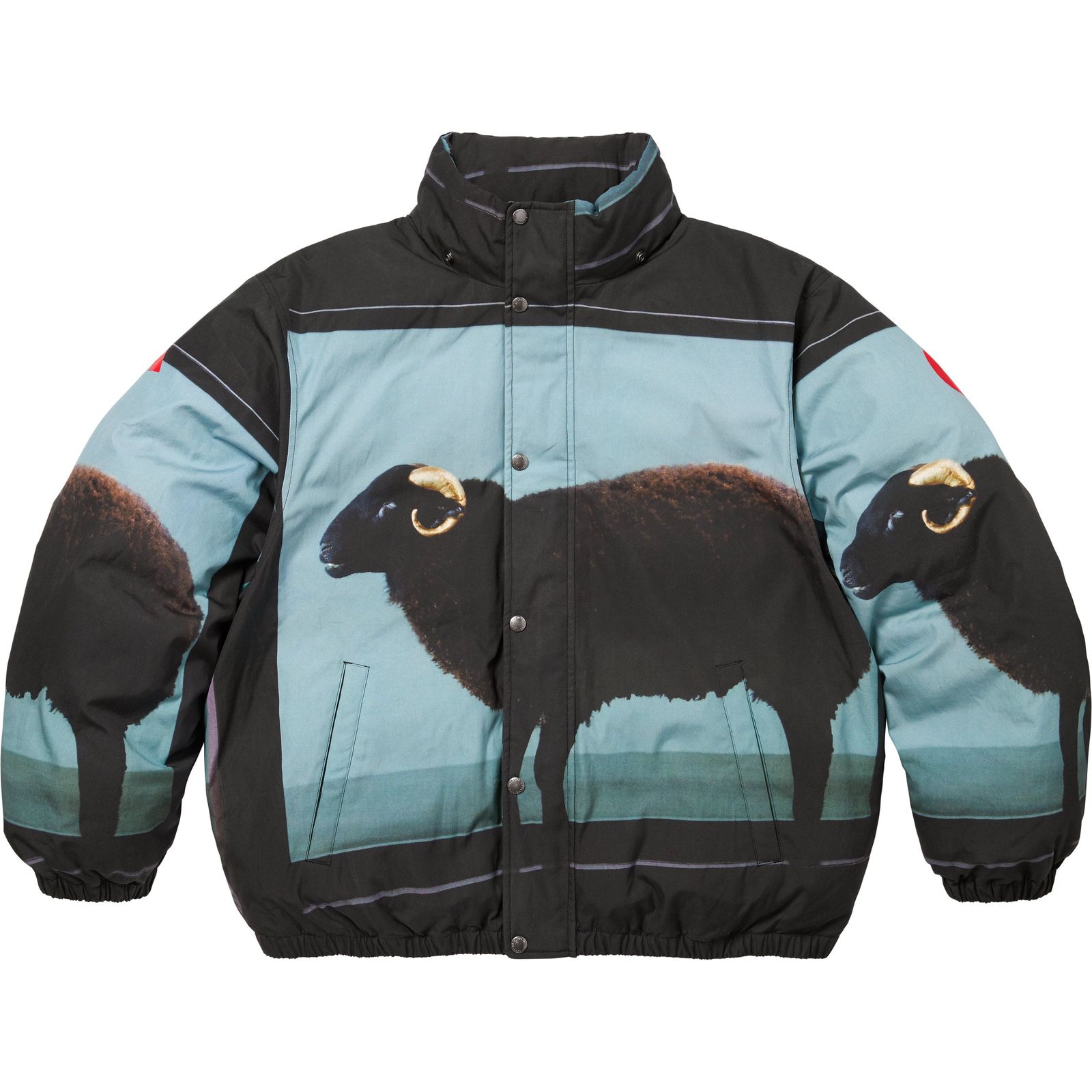 Supreme/Damien Hirst Down Puffer Jacket
