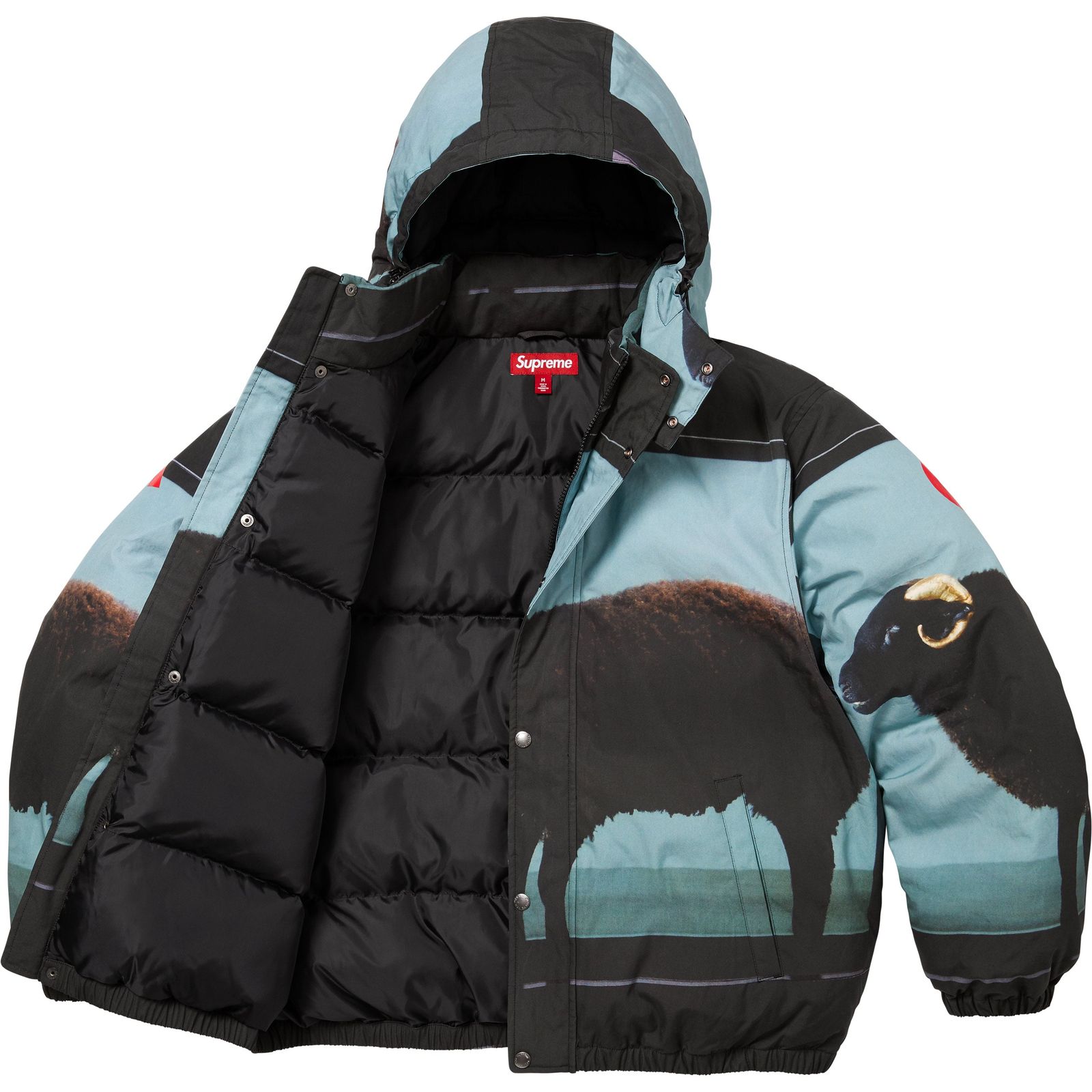 Supreme/Damien Hirst Down Puffer Jacket