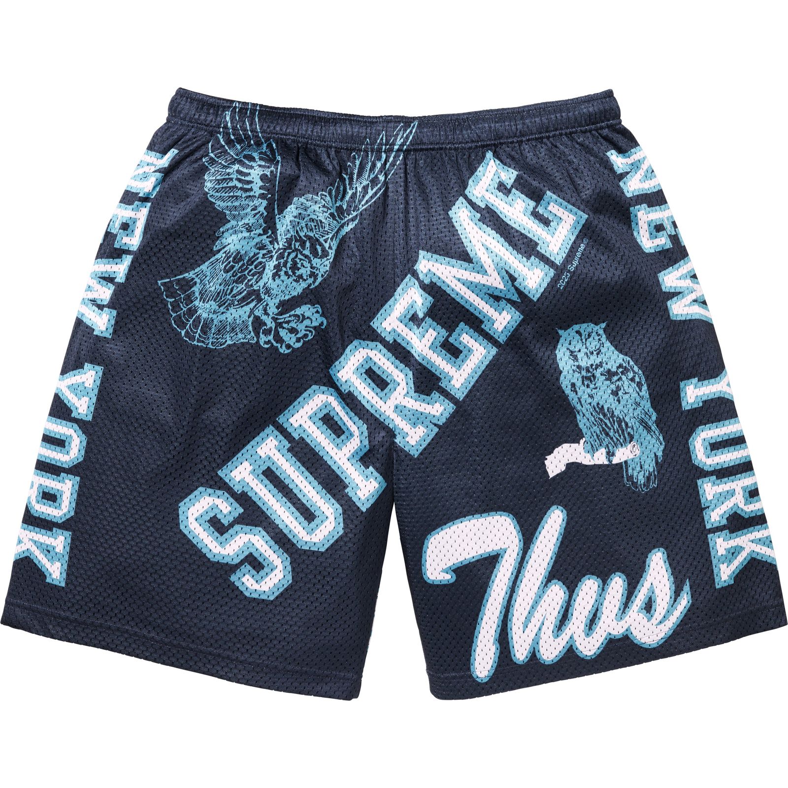 Varsity Mesh Short