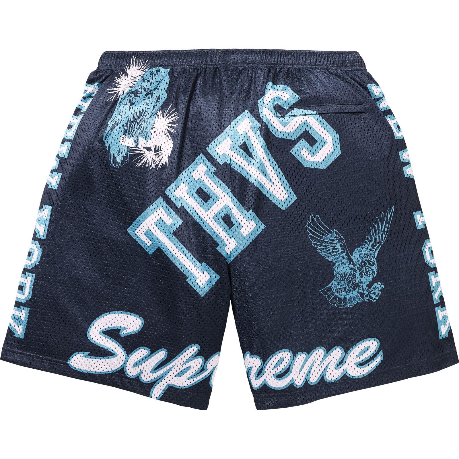 Varsity Mesh Short
