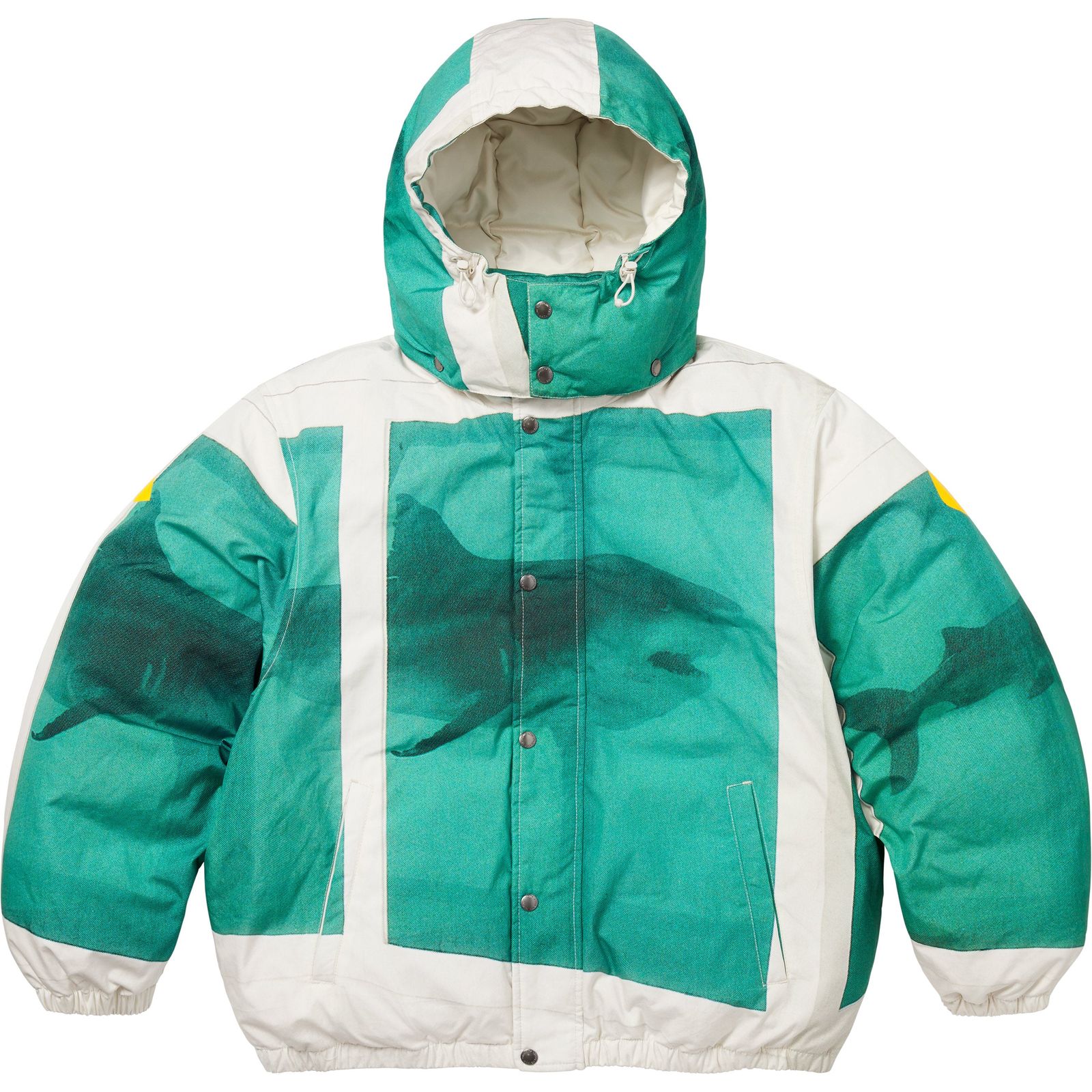 Supreme/Damien Hirst Down Puffer Jacket