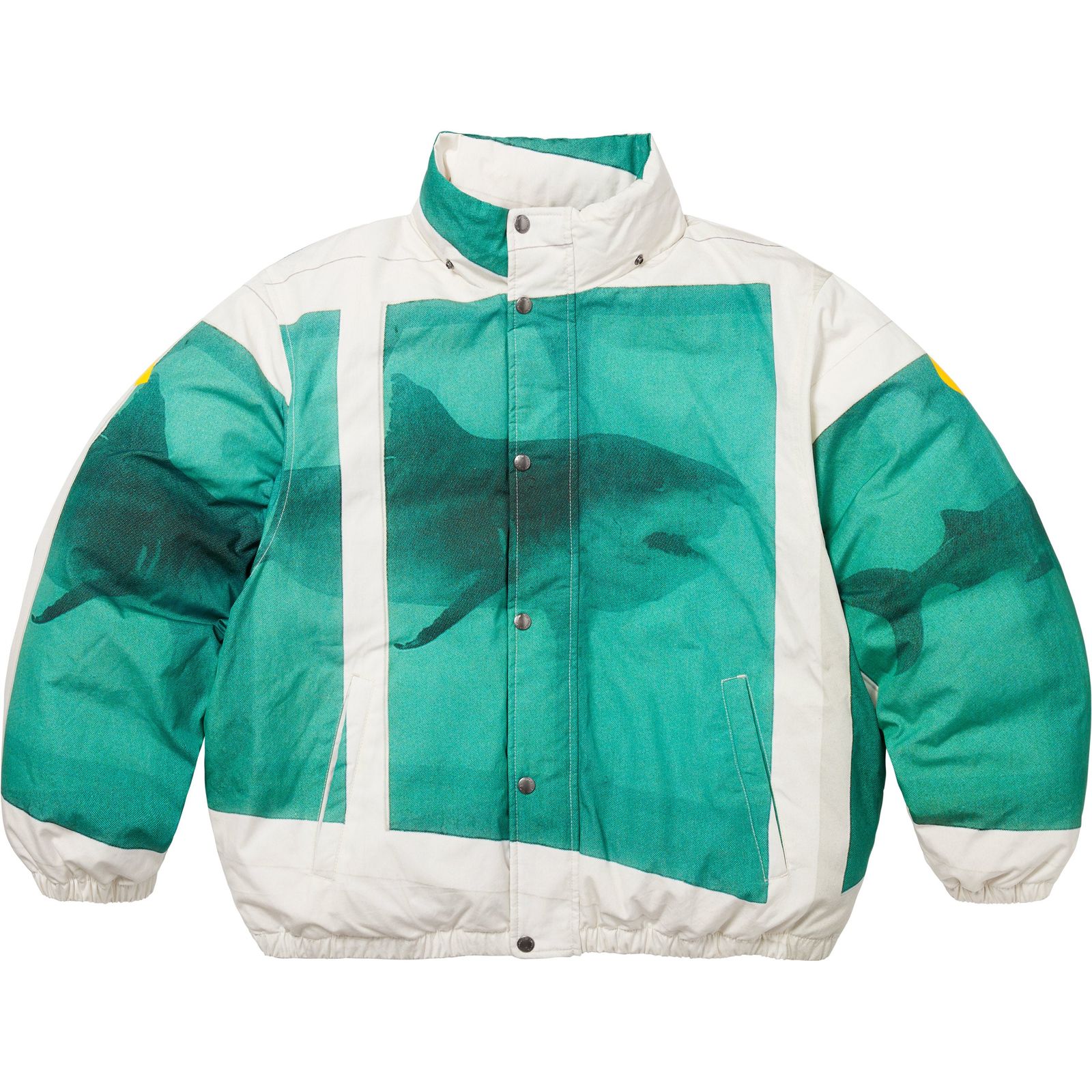 Supreme/Damien Hirst Down Puffer Jacket