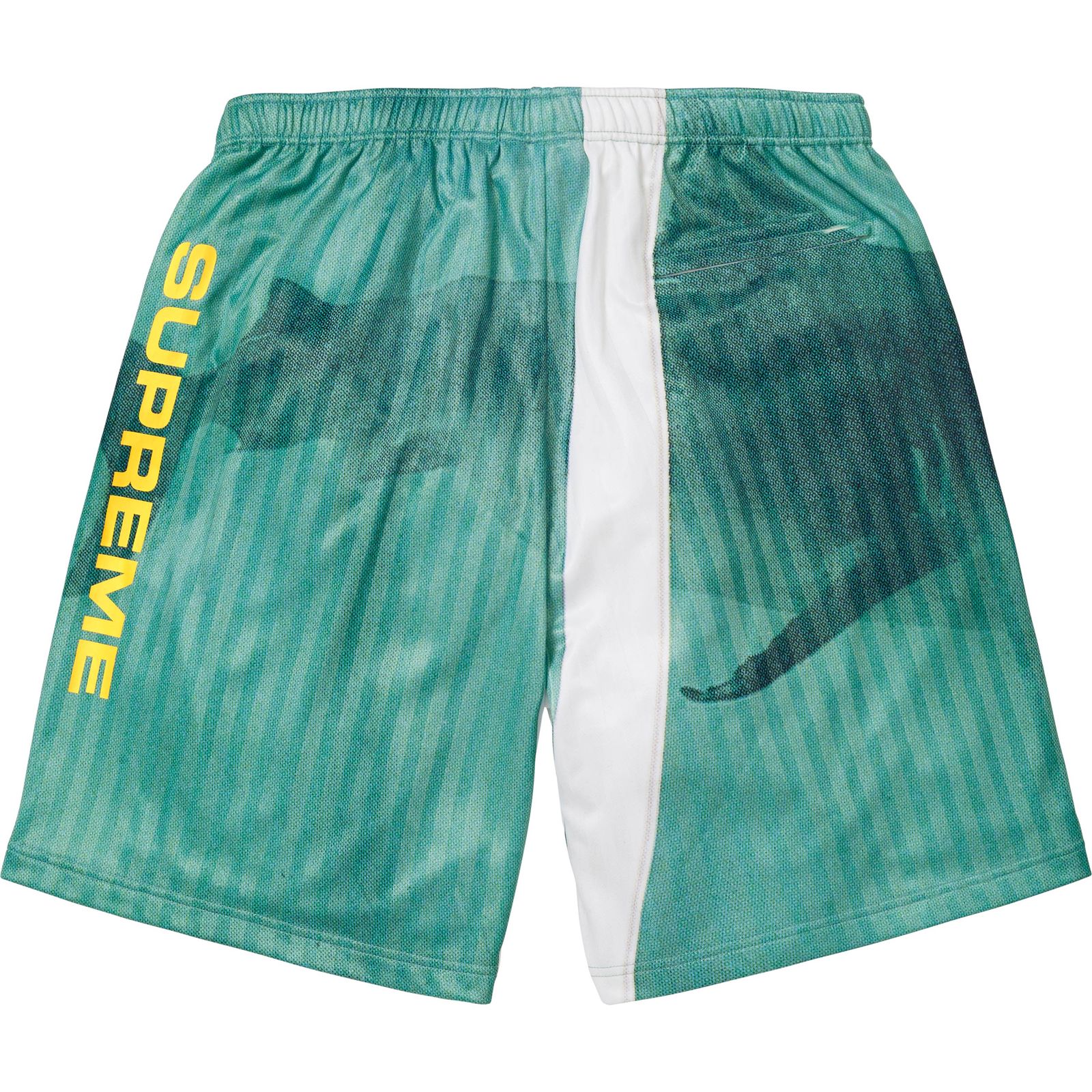 Supreme/Damien Hirst Soccer Short