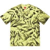 Creases S/S Top