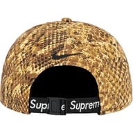 Gold Snakeskin