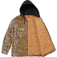 Brown Leopard