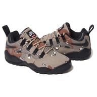 Desert Camo