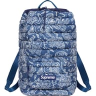 Blue Paisley