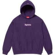 Box Logo Hooded Sweatshirt