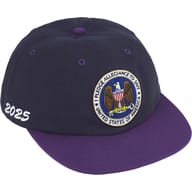 Pledge Allegiance 6-Panel