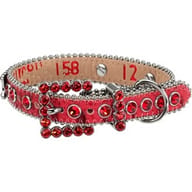 Supreme®/B.B. Simon® Studded Dog Collar