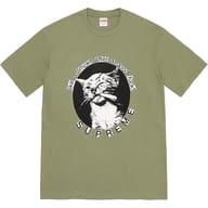 Light Olive