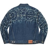 Rigid Indigo