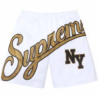 Big Script Mesh Short