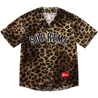 Velvet Baseball Jersey