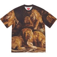 Lions' Den S/S Top