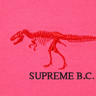 Bright Pink