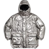 GORE-TEX 700-Fill Down Parka