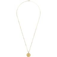 Gold - Capricorn