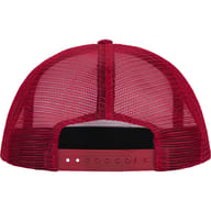 Cardinal