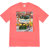 Bright Coral