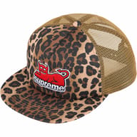 Leopard