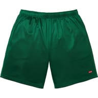 Small Box Baggy Mesh Short