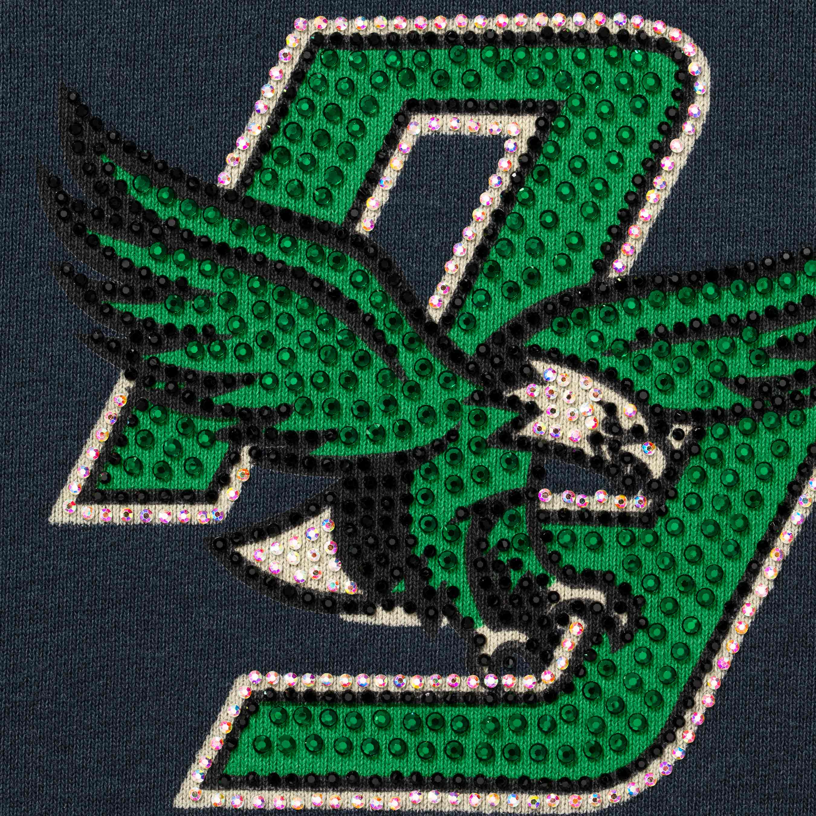 Rhinestone Eagle Hooded Sweatshirt