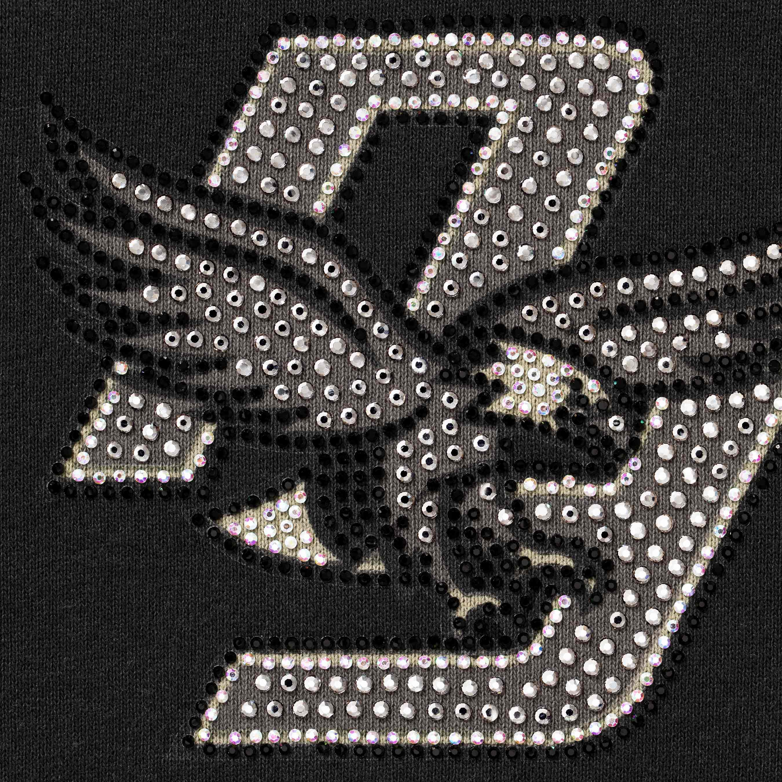Rhinestone Eagle Hooded Sweatshirt
