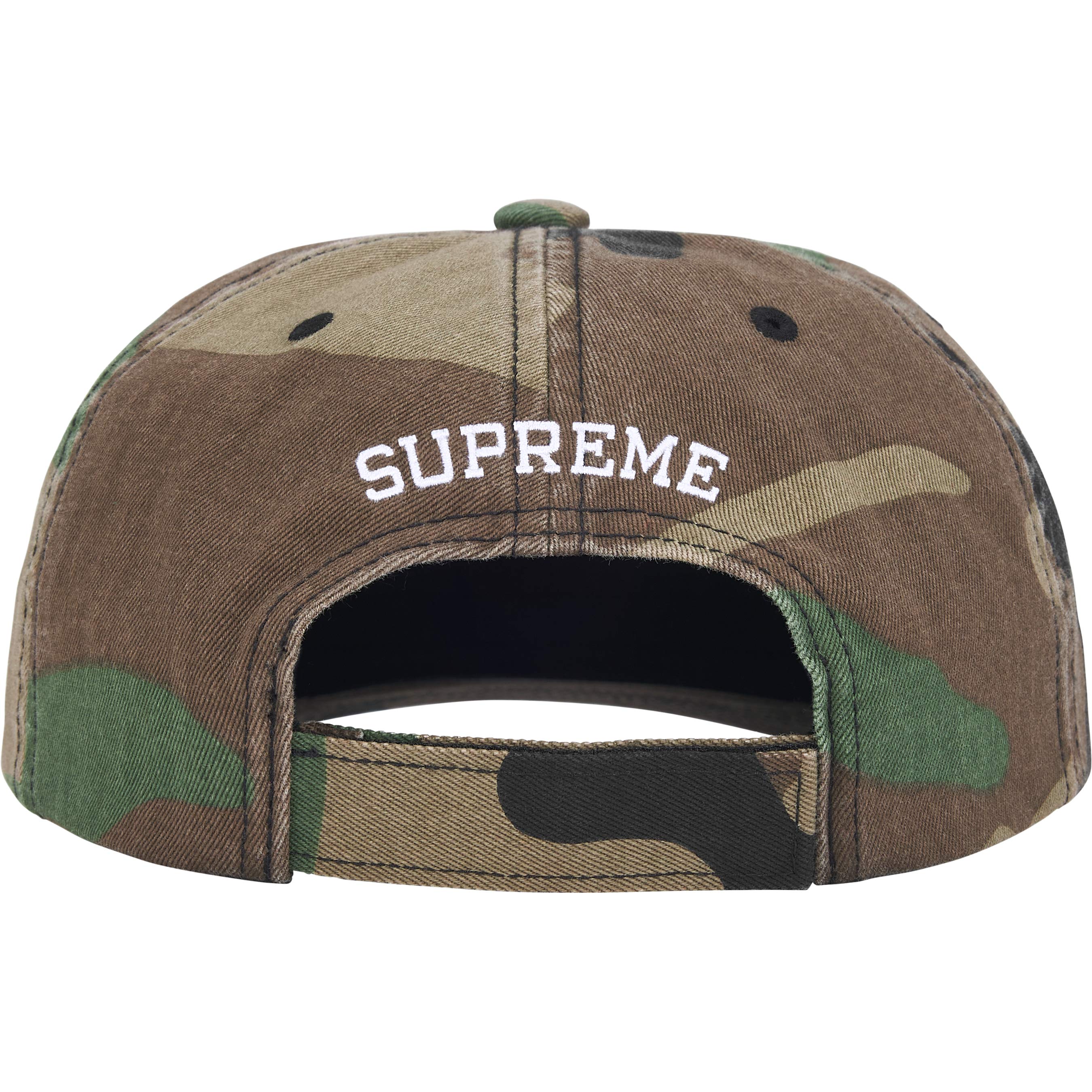 Embroidered Money Logo 6-Panel