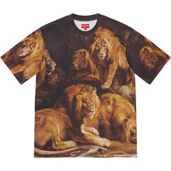 Lions' Den S/S Top