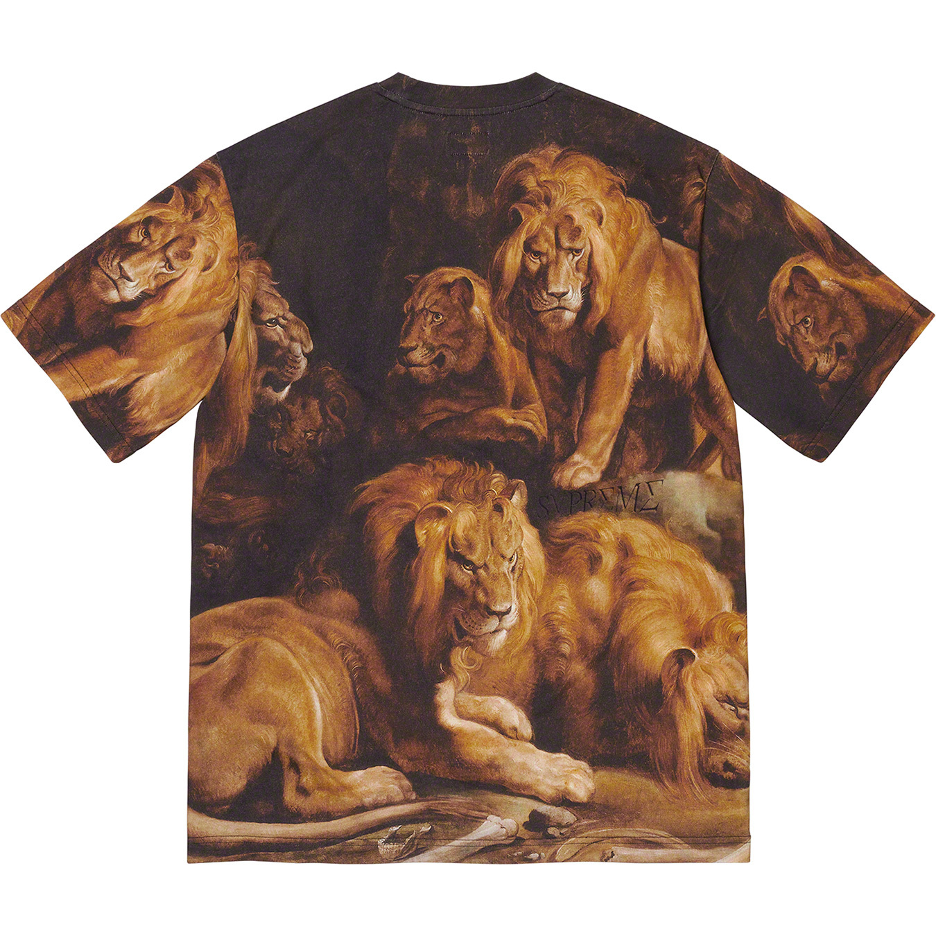 Lions' Den S/S Top