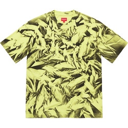 Creases S/S Top