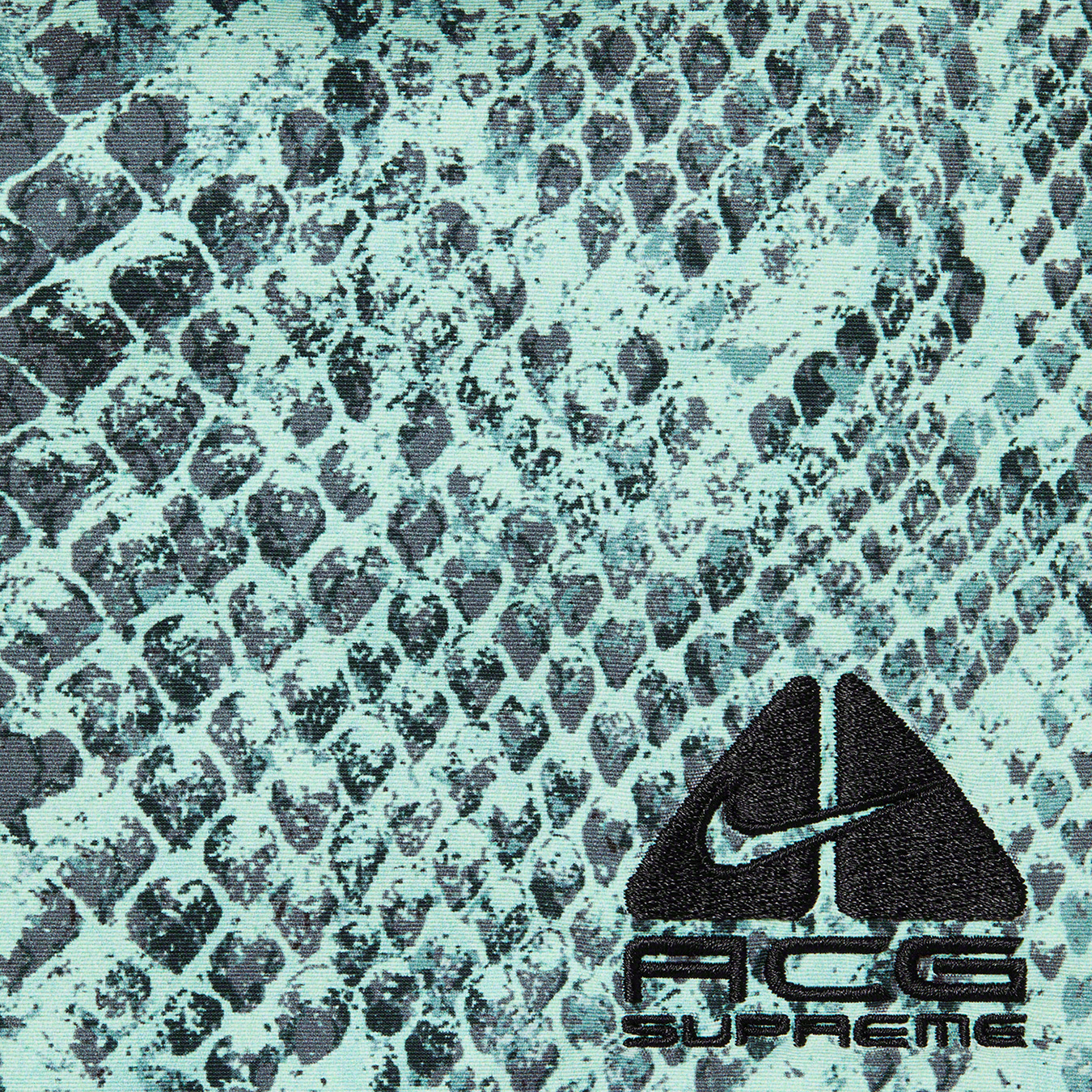 Supreme®/Nike® ACG Nylon Trail Short