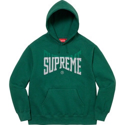 Rhinestone Shadow Hooded Sweatshirt