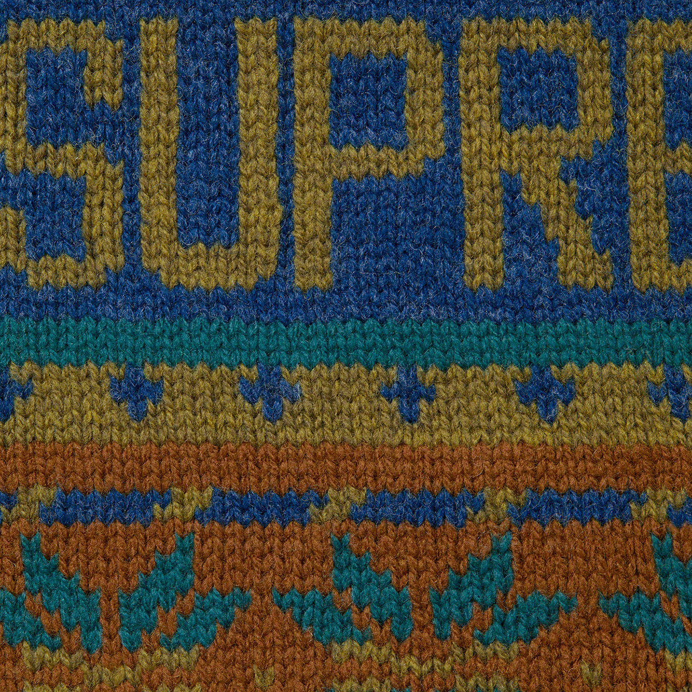 Supreme®/The North Face® Zip Up Hooded Sweater