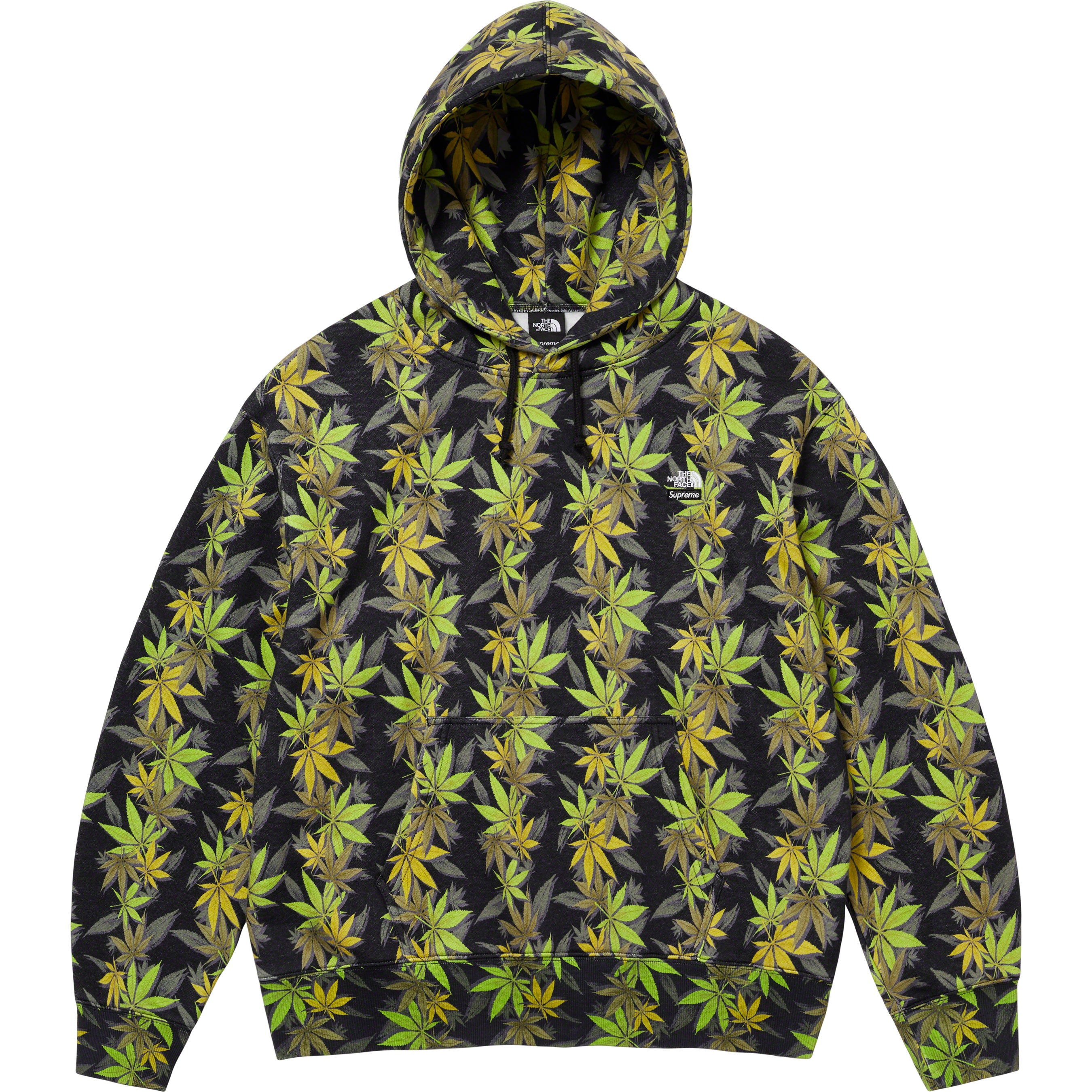 Supreme®/The North Face® Leaf Hooded Sweatshirt