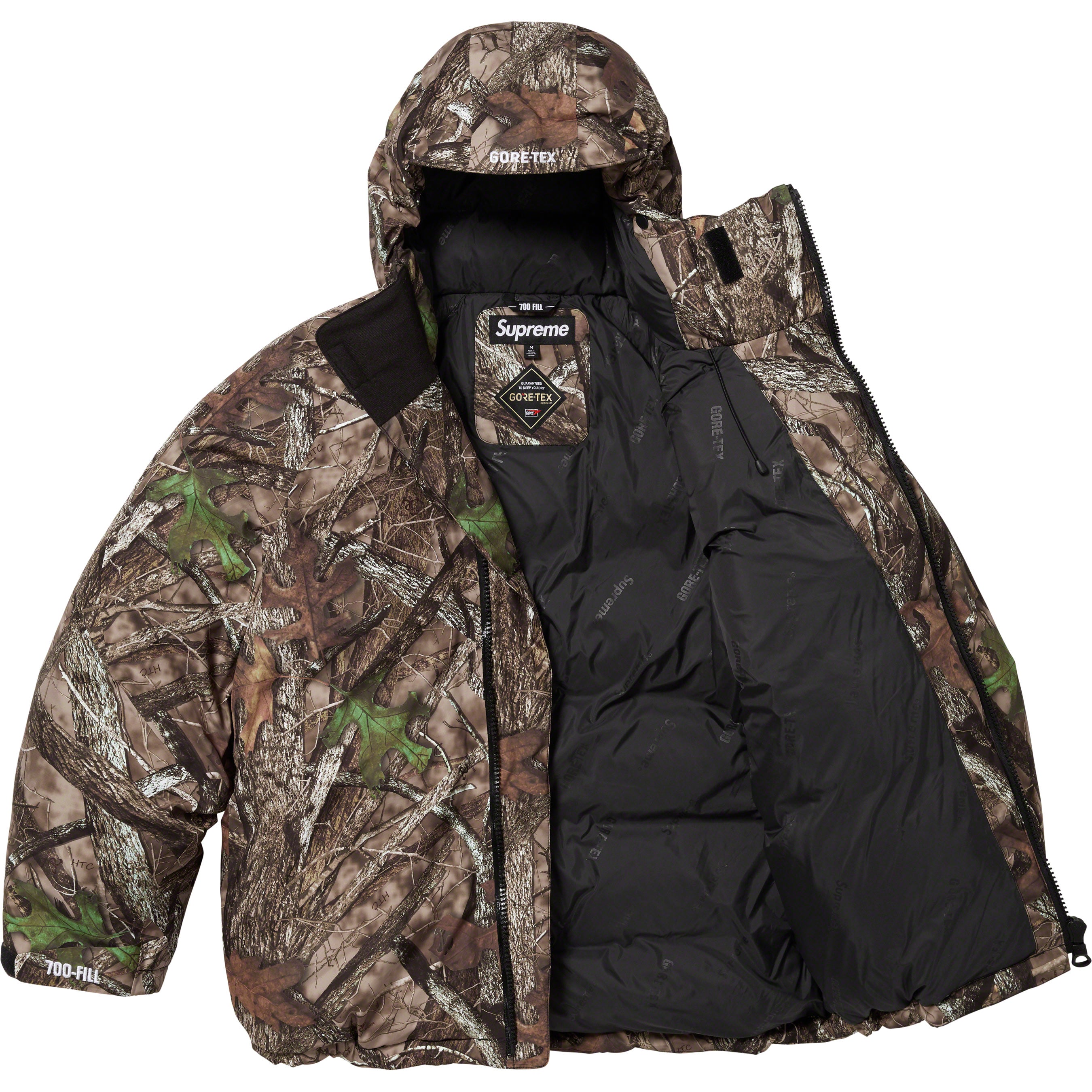GORE-TEX 700-Fill Down Parka
