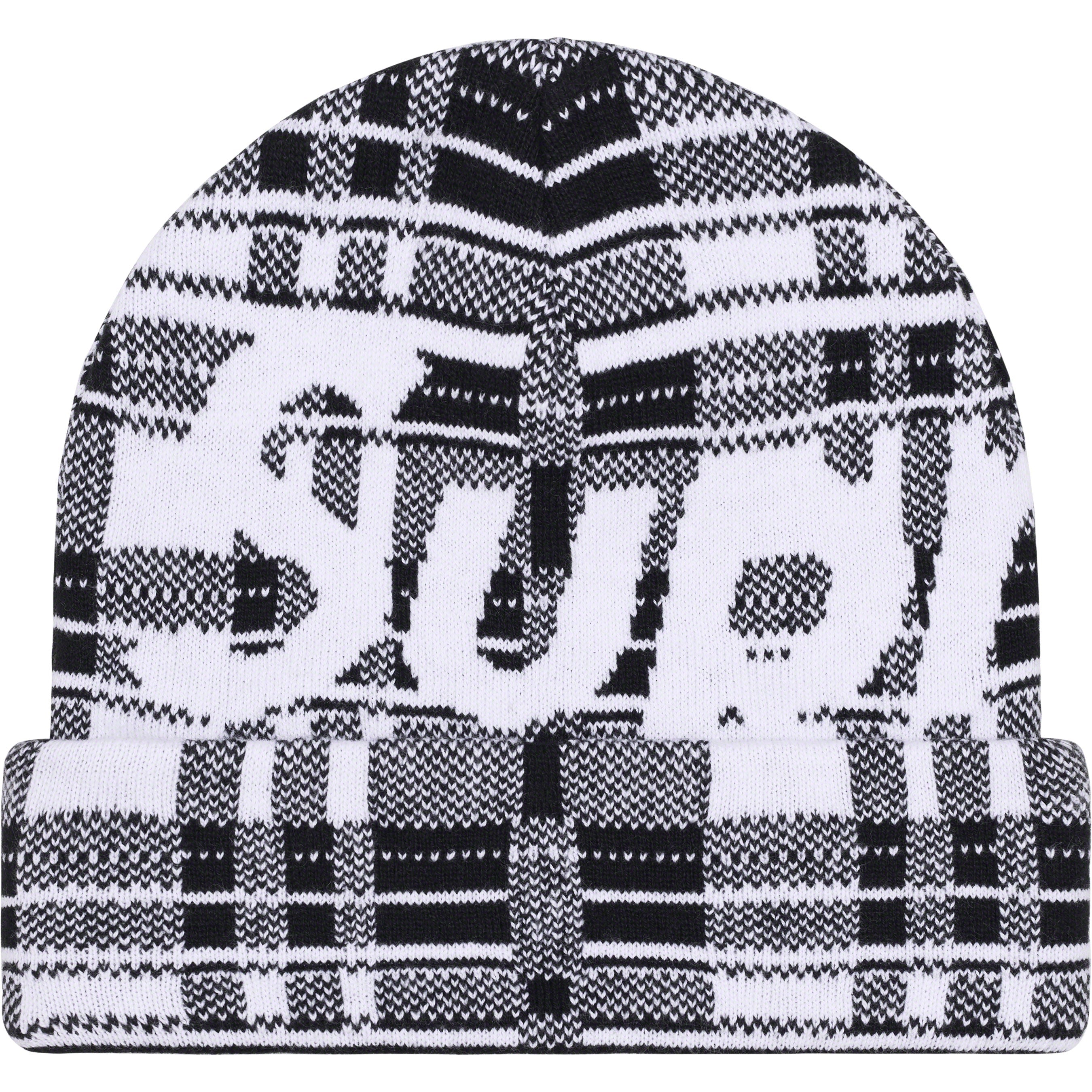 Big Logo Beanie
