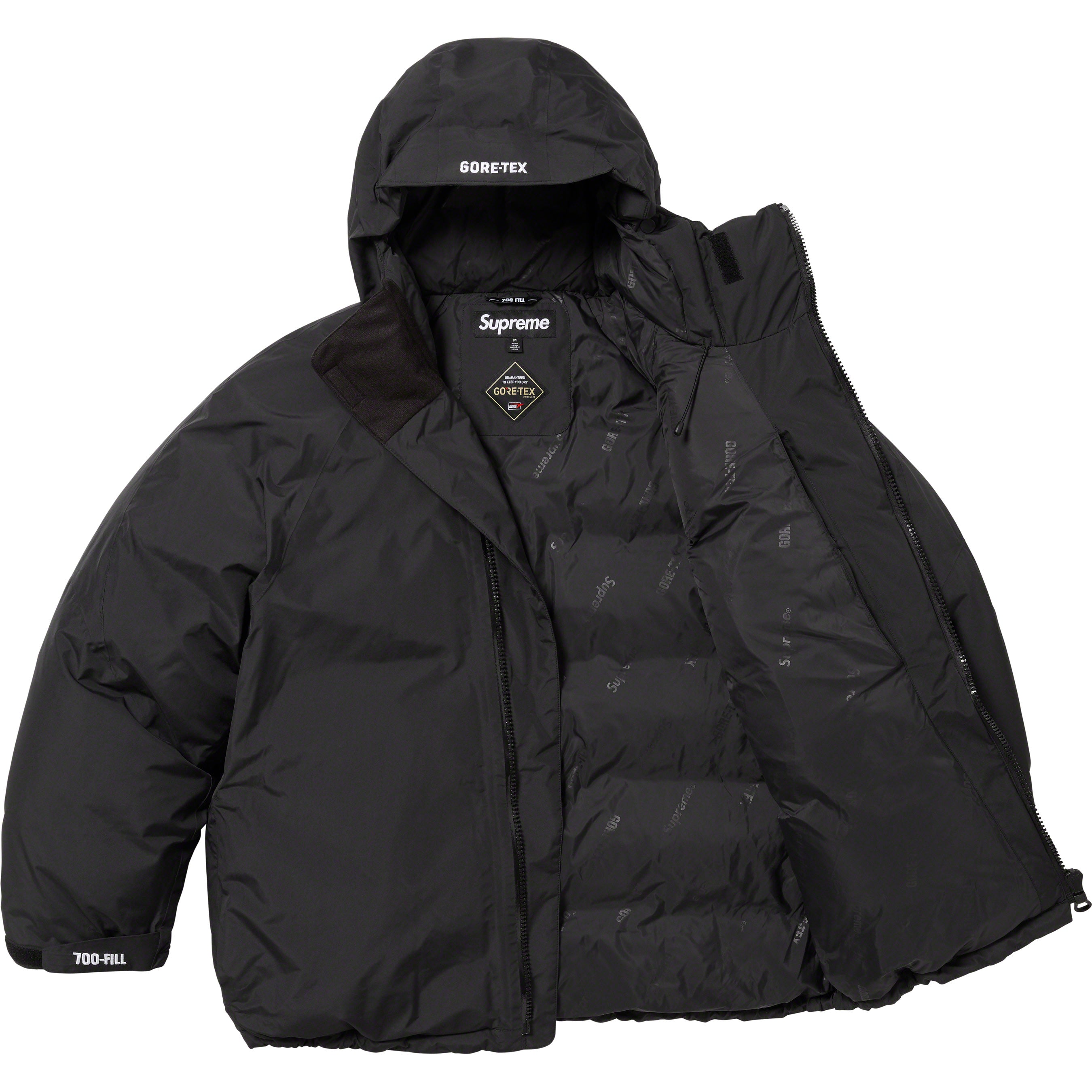 GORE-TEX 700-Fill Down Parka