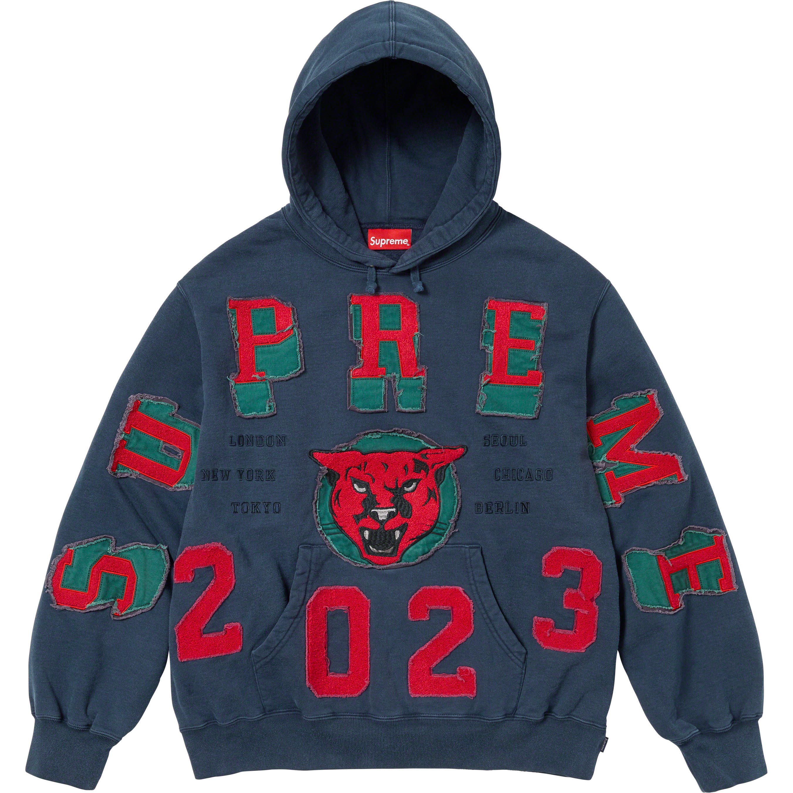 Washed Panther Hooded Sweatshirt